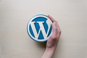 Pourquoi choisir le CMS WordPress pour créer son site internet